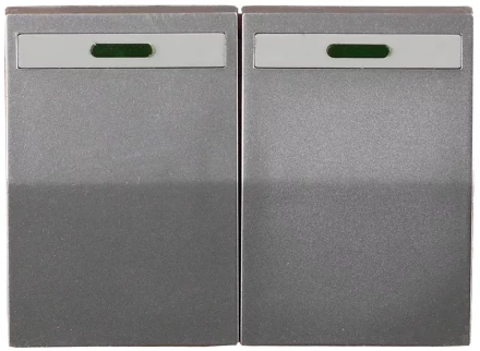 Выключатель СВЕТОЗАР &quot;ЭФФЕКТ&quot; двухклавишный, с эффектом свечения, без вставки и рамки, светло-серый металлик, 10A/~250B SV-54435-SM купить в Нефтеюганске