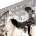 Компрессор масляный Denzel DR5500/300 ременный 58069 купить в Нефтеюганске