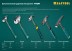 Молоток каменщика цельнокованый THOR 20191 купить в Нефтеюганске