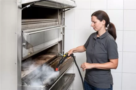 Пароочиститель KARCHER SG 4/4 профи купить в Нефтеюганске