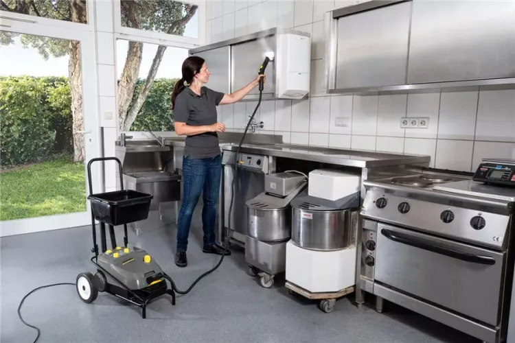 Пароочиститель KARCHER SG 4/4 профи купить в Нефтеюганске