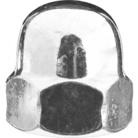 Гайка ЗУБР "МАСТЕР" колпачковая DIN 1587, оцинкованная,  M12, 5кг 303680-12