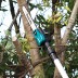 Аккумуляторная 40v XGT цепная пила с телескопической штангой Makita UA004GZ (без АКБ и ЗУ) купить в Нефтеюганске