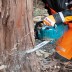 Аккумуляторная цепная пила 40v, шина 40см, регул. без ключа Makita UC016GZ01 (без АКБ и ЗУ) купить в Нефтеюганске