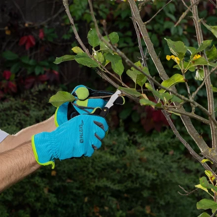 Нож садовый Palisad, 165 мм, складной, окулировочный, пластиковая рукоятка, 790547 купить в Нефтеюганске