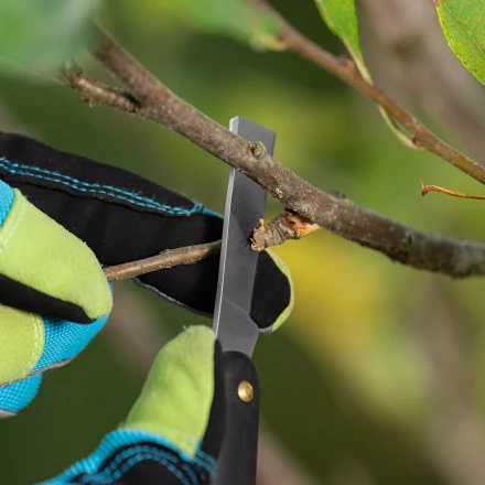 Нож садовый Palisad, 165 мм, складной, копулировочный, пластиковая рукоятка, 790557 купить в Нефтеюганске