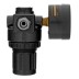 Регулятор давления с манометром Denzel R1500, 12 бар, 1/4&quot;, 57491 купить в Нефтеюганске