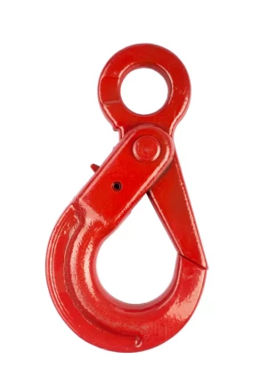Крюк самозакрывающийся с проушиной TOR 5,3 т (W) 1046135 купить в Нефтеюганске
