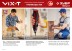 Отвертка-трансформер ViX-T ЗО-ЕМ-3.6 Ли серия МАСТЕР купить в Нефтеюганске