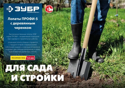 ЗУБР ПРОФИ-5 350х230х1450мм, полотно рессор.сталь 1.6мм закалено, c ребрами жестк., черенок высш.сорт, тип ЛСП, совковая лопата, Профессионал (39457) купить в Нефтеюганске
