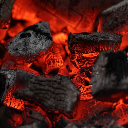 Уголь берёзовый, 5 кг Россия Camping Palisad 69662 купить в Нефтеюганске