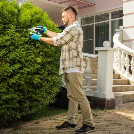 Секатор прямого реза Palisad, 210 мм, пластиковые рукоятки, 60466 купить в Нефтеюганске