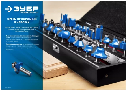 ЗУБР 12 шт, набор профильных фрез по дереву, Профессионал (28796-H12) купить в Нефтеюганске