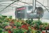 Подвесной газовый теплогенератор BALLU FARM 90 M/C LPG купить в Нефтеюганске