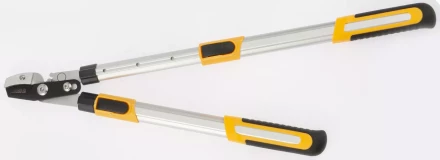 Набор: Сучкорез телескопический 22-29” и секатор прямого реза Denzel 7760505 купить в Нефтеюганске