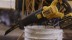 Пила сабельная DCS388N FLEXVOLT DeWalt аккумуляторная купить в Нефтеюганске