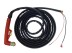Плазменный резак Aurora LT101 с прямым подключением М16*15 6м HF поджиг PA1453 Ref. купить в Нефтеюганске