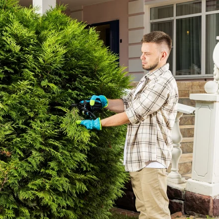 Секатор прямого реза Palisad 215 мм, двухкомпонентные рукоятки, Luxe 604775 купить в Нефтеюганске