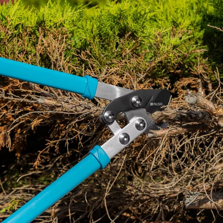 Сучкорез прямого реза Palisad 60597, 750 мм, двухрычажный механизм, двухкомпонентные рукоятки, LUXE купить в Нефтеюганске