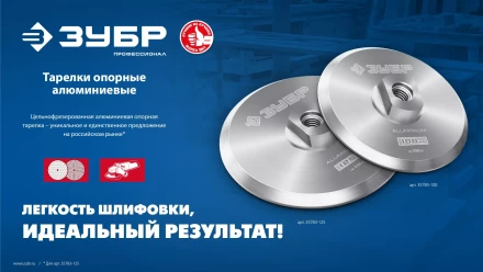 ЗУБР d 100 мм, М14, держатель алюминиевый для АГШК, ПРОФЕССИОНАЛ (35783-100) купить в Нефтеюганске