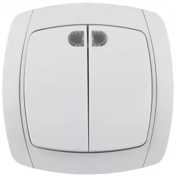 Выключатель СВЕТОЗАР &quot;CITY LIGHT&quot; двухклавишный в сборе, с подсветкой, белый, 10А/~250В SV-54235-W