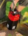 Насос скважинный DIVE 6300/4 Premium AL-KO купить в Нефтеюганске