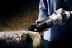 Пила сабельная ЗПС-1400 Э серия МАСТЕР купить в Нефтеюганске