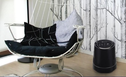 Мойка воздуха ELECTROLUX EHAW-9010D mini купить в Нефтеюганске