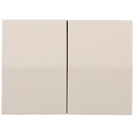 Выключатель СВЕТОЗАР &quot;ЭФФЕКТ&quot; двухклавишный, без вставки и рамки, цвет бежевый, 10A/~250B SV-54434-B купить в Нефтеюганске