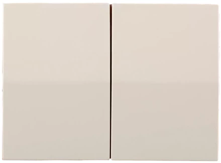 Выключатель СВЕТОЗАР &quot;ЭФФЕКТ&quot; двухклавишный, без вставки и рамки, цвет бежевый, 10A/~250B SV-54434-B купить в Нефтеюганске