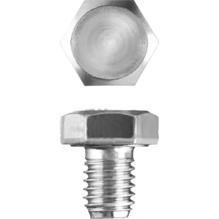 Болт ЗУБР &quot;МАСТЕР&quot; с шестигранной головкой, ГОСТ 7798-70, класс прочности 5.8, оцинкованный, M8x10мм, 5кг 303080-08-010 купить в Нефтеюганске