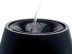 Увлажнитель BONECO E2441A (холодный пар) black купить в Нефтеюганске