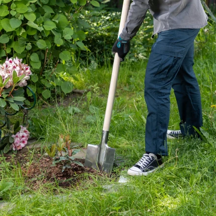 Лопата штыковая, нержавеющая сталь Сибртех, 200х265 мм, ребра жесткости, без черенка, Россия 614375 купить в Нефтеюганске