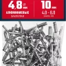 ЗУБР 4.8 x 10 мм, 50 шт, алюминиевые заклепки, Профессионал (313106-48-10) купить в Нефтеюганске