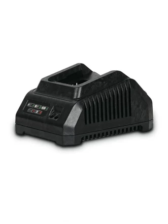 Зарядное устройство DWT CSP204009XS купить в Нефтеюганске