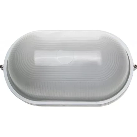 Светильник уличный СВЕТОЗАР влагозащищенный, овал, цвет белый, 100Вт SV-57203-W купить в Нефтеюганске