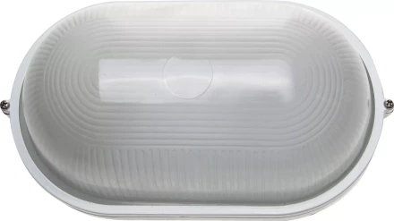 Светильник уличный СВЕТОЗАР влагозащищенный, овал, цвет белый, 100Вт SV-57203-W купить в Нефтеюганске